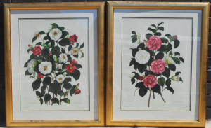 Lot 63 - pair Gilt Framed Clara Maria Pope Colour Classical Prints - Camillia's
