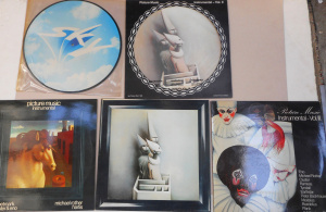 Lot 202 - Group Vinyl Electronic Sky Label Compilation LP Records, incl Picture