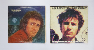 Lot 17 - 2 x Vintage Tim Buckley Vinyl LP Records - 'Look At The Fool' on Discre