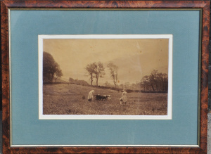 Lot 342 - Framed c1900 sepia Photograph - field with milk maids and cows - 20 x