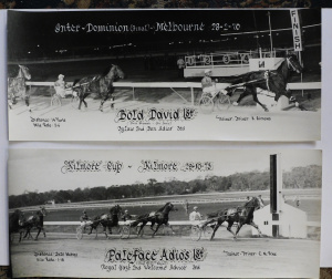 Lot 239 - 2 x Vintage Horse Harness Racing Owner winners B & W Photographs -