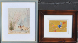 Lot 34 - 2 x Framed Bird Watercolour Paintings - Helen Maladay 'Blue Wren' on Gi