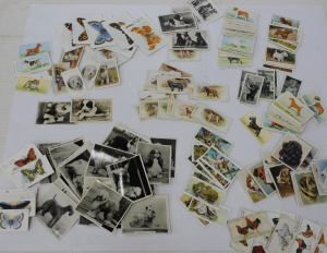 Lot 69 - Large group lot vintage Cigarette cards incl Wills Dogs Series, John Si