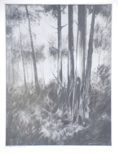 Lot 185 - Wim Kortland (1923 - ) Framed Charcoal & Pastel - In The Dandenong