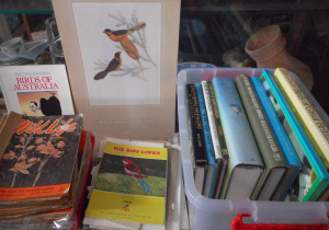 Lot 12 - 2 x Boxes Vintage Wild life Magazines and Illustrated Bird Books incl N