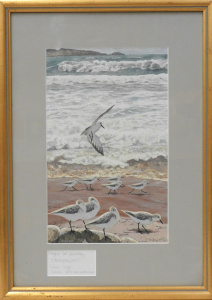 Lot 132 - Frank Knight (1941 - ) Framed Watercolour - Study for Sanderling - Sig