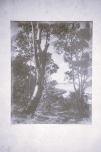 Lot 312 - Albert Ellingworth Jarratt (1886 - 1962) Framed Silver Gelatin Photogr