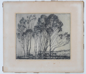 Lot 331 - Herbert Reginald Gallop (1890 - 1958) Mounted Etching - Pittwater Tree