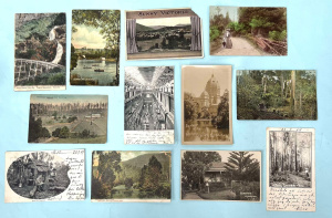 Lot 272 - 12 early Australian postcards incl Cole Book Arcade, Souvenir Women's