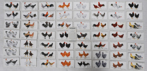 Lot 289 - Part Set Vintage 'POULTRY' John Player & Sons Cigarette Cards - ap