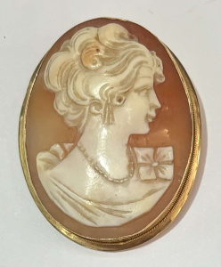 Lot 296 - 15ct gold Cameo Broochpendant