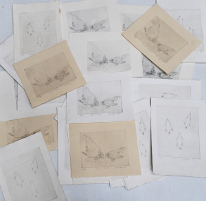 Lot 303 - Bill Offord (1944 - ) Large group lot (approx 30) Unframed Etchings -