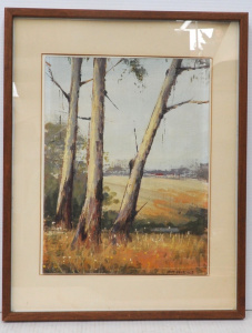 Lot 203 - Wim Kortland (1923 - ) Framed Oil painting - Gum Trees - Signed lower