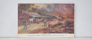 Lot 289 - Vintage James Alfred Turner Australian Advertising Postcard - A Bush F