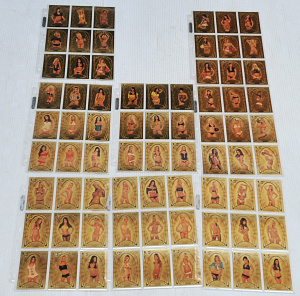 Lot 6 - Full Set of 2007 Glamour Girl Benchwarmer Gold Edition Trading Cards - 7