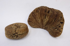 2 x Australian Pottery hand built items inc, lidded trinket box with textured fi
