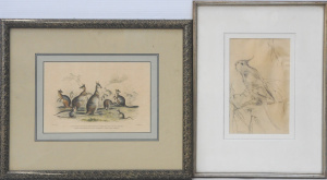 Lot 263 - 2 x framed Australian Animal Pictures - Robin Hill pencil Drawing Cock