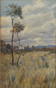 Lot 300 - Stewart Handasyde (1863 - 1935) Gilt Framed Watercolour - Saplings, Hi