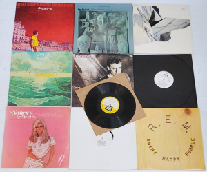 Lot 148 - Group lot - Mixed 10 & 12 Inch Vinyl Records - Nancy Sinatra, REM,