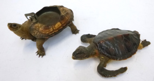 Lot 92 - 2 x vintage small sized Taxidermy Turtles - 1 w Ashtray mounted to back