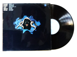 Lot 163 - Vintage Blues Vinyl Lp Record - Johnny Shines 'Last Night's Dream' - B