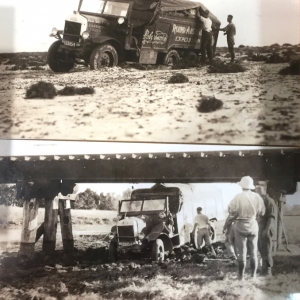 IMG_8288 (1) IMG_8288 (1)