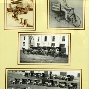 IMG_8290 (1) IMG_8290 (1)