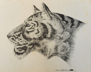 Edwin W Slater (1875 - ) Folio of 31 x unframed Watercolours & Ink Drawings