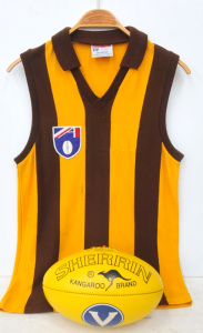 Lot 94 - Vintage Hawthorn Football Jersey made by Sekem & Yellow Sherrin Foo Lot 94 - Vintage Hawthorn Football Jersey made by Sekem & Yellow Sherrin Foo