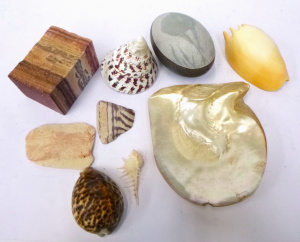 Lot 182 - Small box lot of Geological, Avian & Marine specimens inc, carved