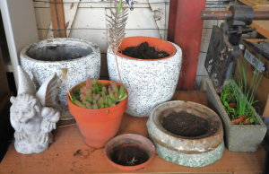 Lot 35 - Lot of Mixed Outdoor Pots & plants incl Succulent in Pot, Concrete