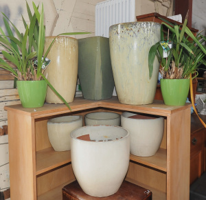 Lot 37 - 9 x Assorted Heavy Glazed Ceramic Pots incl 2 x w Plants, 2 x Large Gre