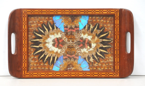 Vintage Drinks tray w Inlaid Wooden Frame & Butterfly wing display under Gla