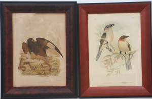 Lot 109 - Gracius Joseph Broinowski (1837 - 1913) Pair Framed Colour Lithographs
