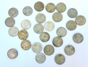 Group of 26 x Australian Florins + 1 x NZ Florin 1949 inc Commemoratives 3 x 192