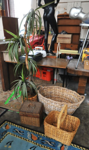 Lot of Cane Items & Plastic Dragon tree Plant incl Cane Baskets, Cane Bucket Lot of Cane Items & Plastic Dragon tree Plant incl Cane Baskets, Cane Bucket