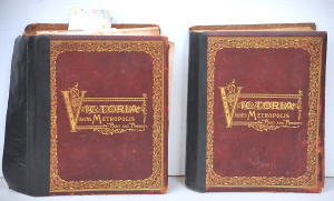 Lot 228 - Victoria and Its Metropolis Past and Present in two vols by Alexander