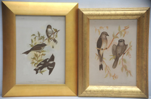 Lot 158 - Gracious Joseph Broinowski (1837 - 1913) 2 x gilt Framed Colour Lithog