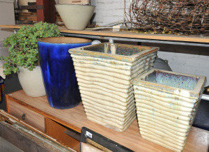 Lot 55 - 5 x Ceramic Plants Pots incl One w Jade Tree Plant, Bendigo Pottery &am