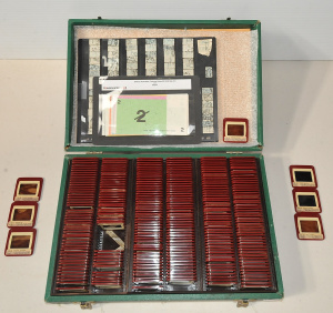 Lot 151 - Small group lot - heaps Australian Half penny pre decimal Stamps, set