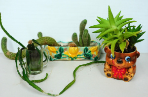 Lot 82 - 3 succulent and cactus arrangements in vintage and retro vessels