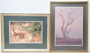Lot 150 - 2 x Framed Australian Colour Photographs - Malcolm Heberle 'Naked Beau