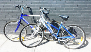 Lot 14 - 2 Malvern Star mountain bikes, a lady's Mirage and a gent's Hurricane A