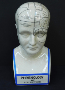 Lot 196 - Vintage Style Ceramic Phrenology Head designed by Lorenzo Niles Fowler