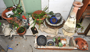 Lot 033 - Large lot of Garden Items incl a Orchid, Succulents, Concrete Planters
