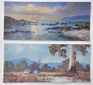 Lot 084 - Stephen Deutscher (1947 - ) 2 x Unframed Oil paintings - Coast & C