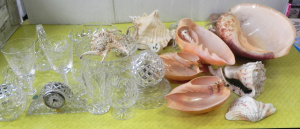 Lot 073 - Large Group Shells & Crystal inc Melo Shell Lamp Spider Conch, Set