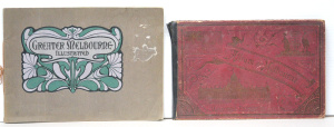 2 pces Melbourne Cricket Club Ephemera - 1937-38 Ladies Ticket - Hugh Trumble Se