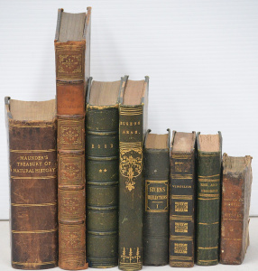 Lot 099 - Group of 19thC books inc French eds of Homer's Odyssey 1817 & Work