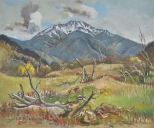 Norma Bull (1906 - 1980) Large unframed Oil Painting on Metal panel - Genie of H